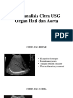 Menganalisis Citra USG Organ Hati Dan Aorta