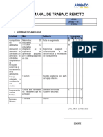 Plan Semanal de Trabajo Remoto