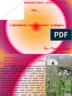 Calendarul Evenimentelor Ecologice: Clasa A III-a 2009/2010