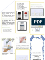 Triptico Del Primer Experimento