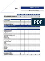 Formato de Flujo de Efectivo