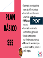 Plan Básico