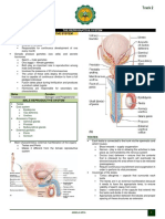 HS-FPH101 Foundations To Public Health: Track 2