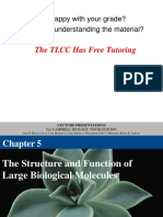 Chapter 5 Macromolecules