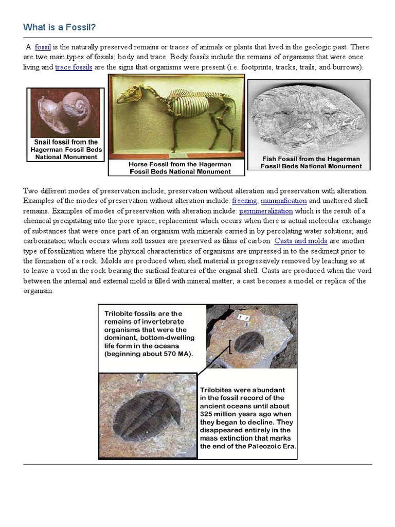 Fossils Definition1 PDF