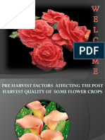 PHT of Flower Crops