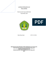 Thalasemia: Laporan Pendahuluan