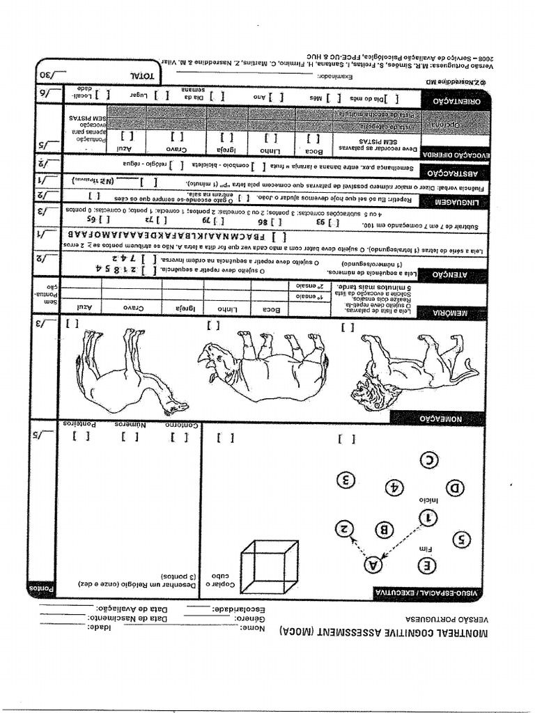 moca-pdf
