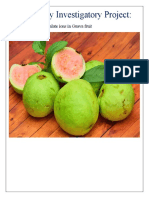 Chemistry Investigatory Project:: Study of Presence of Oxalate Ions in Guava Fruit