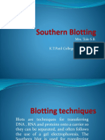 Southern Blotting KLP 7 | PDF | Blot (Biology) | Southern Blot