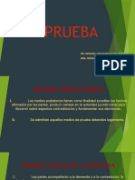 15.- La Prueba