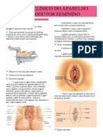 Exame Clínico Do Aparelho Reprodutor Feminino