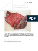 VETM 2005 Case Studies Summary