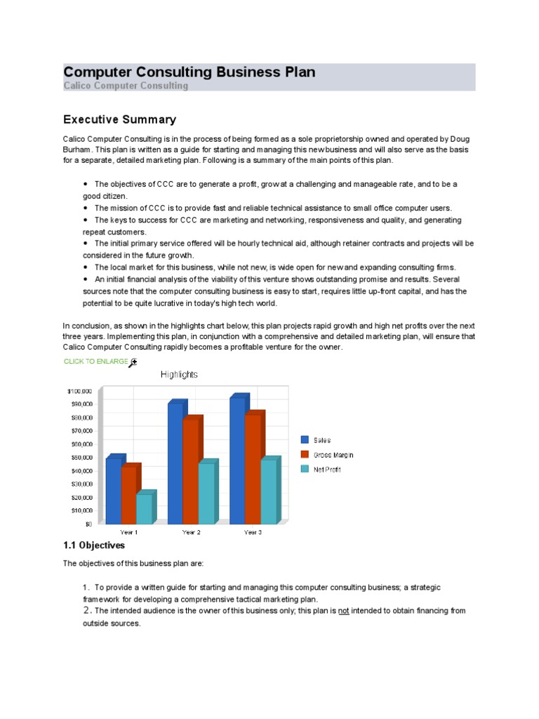 Computer Consulting Business Plan | PDF | Marketing | Startup Company