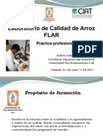 Anexo Presentacion FLAR