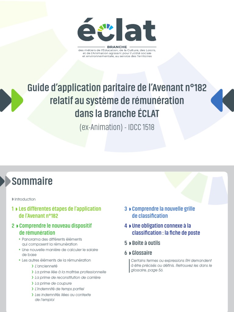 Convention Collective Chantier D insertion Grille Salaire 2022 Guide Paritaire D'application | PDF | Salaires | Bulletin de salaire (droit  français)