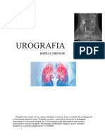 UROGRAFIA