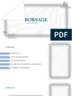 Bornage (1)