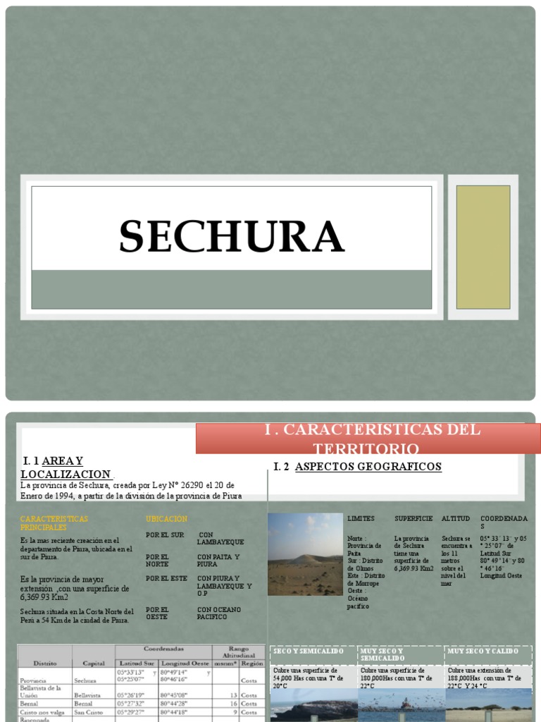 Características Geográficas de Sechura | PDF | Río | Cuenca de drenaje