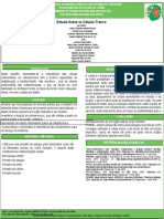 Estudo Sobre As Células-Tronco