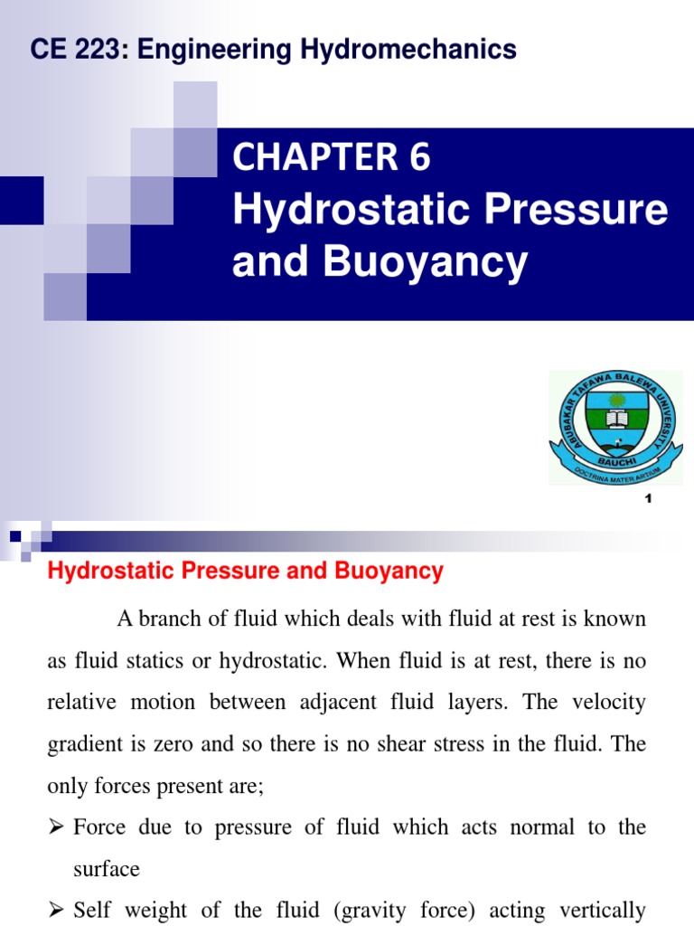 Chapter 6 Hydrostatic Pressure and Bouyancy | PDF | Buoyancy | Pressure