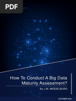 How To Conduct A Big Data Maturity Assessment?: by J.W. Middelburg