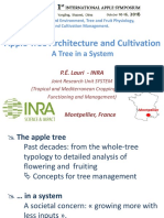 Apple Tree Architecture and Cultivation A Tree in A System