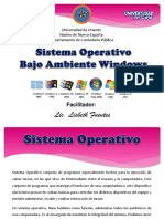 Sistema Operativo Windows