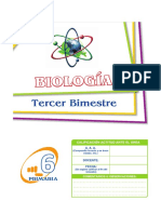 6° Primaria 3B Ciencias-Biología