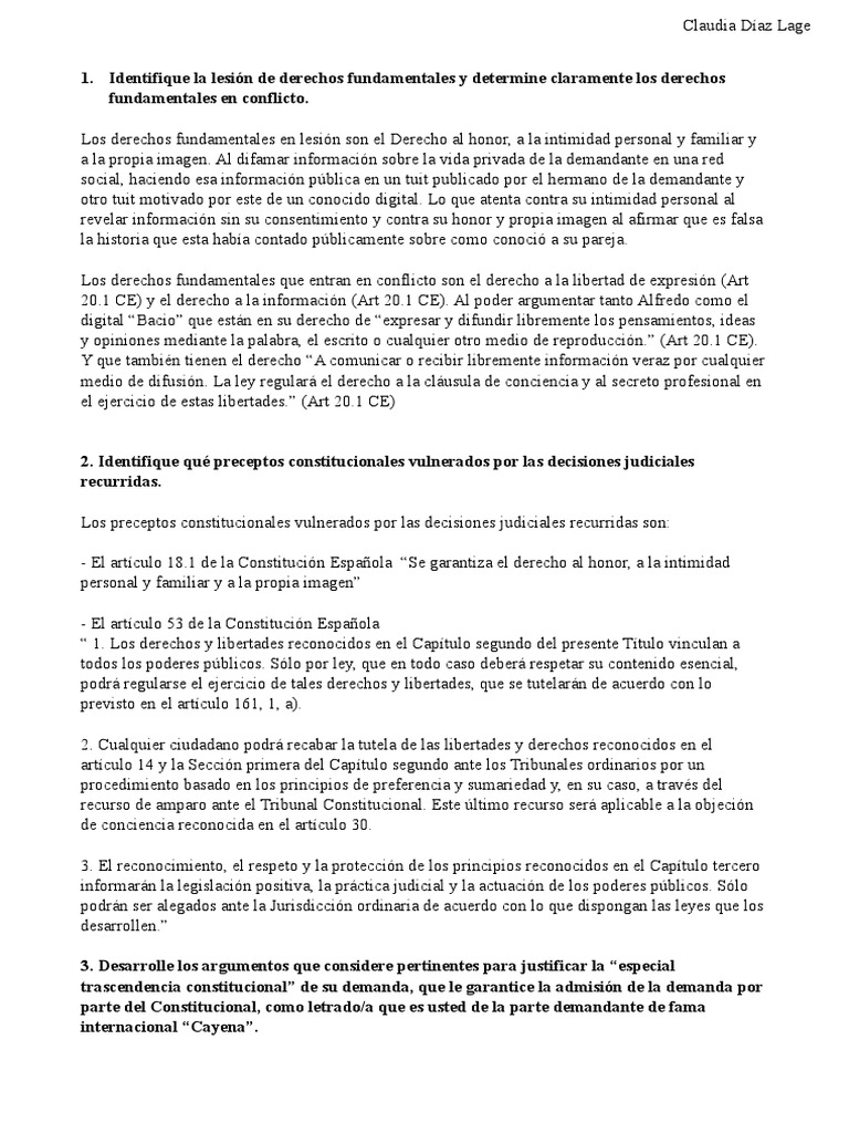 Recurso de amparo y derechos fundamentales | PDF | Caso de ley ...