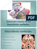 Estructura Interna de Los Hemisferios Cerebrales
