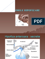 Bolile hipofizare- tumori hipofizare secretante si nesecretante, acromegalia, gigantismul, hiperprolactinemiile, adenoamele secretante de TSH, ACTH, adenoame gonadotrope si mixte.  