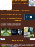 P13. - Biotecnología Blanca, Dorada y Gris
