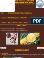 P11. - Biotecnología Roja y Amarilla