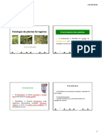 Crescimento e fotossíntese em plantas forrageiras C3 e C4