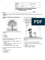 El Tallo Le Ayuda A La Planta A: y Químicos