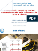 Ứng Dụng Siêu Âm Phổi Tại Giường Chẩn Đoán Nguyên Nhân Suy Hô Hấp Cấp Tại Khoa Cấp Cứu