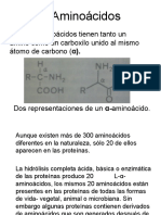 Aminoacidos