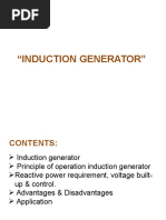 Induction Generator