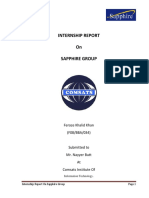 Internship Report Feroze PDF Free