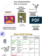 Black Belt Overview
