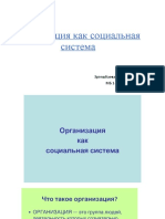 организация как социальная система. Эргешбаева Медина МБ 1-20