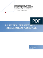 Unefa Perspectiva y Desarrollo Nacional