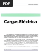 carga[1]