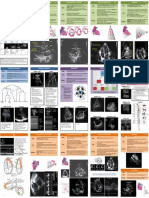 POCUS Pocket Guide 2020