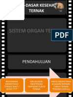 Sistem Organ Ternak