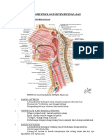 Anatomi Sistem Pernafasan 1