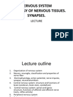 Nervous System Phisiology of Nervous Tissues. Synapses