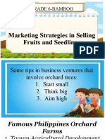 Marketing Strategies in Selling Fruits and Seedlings Tle 6