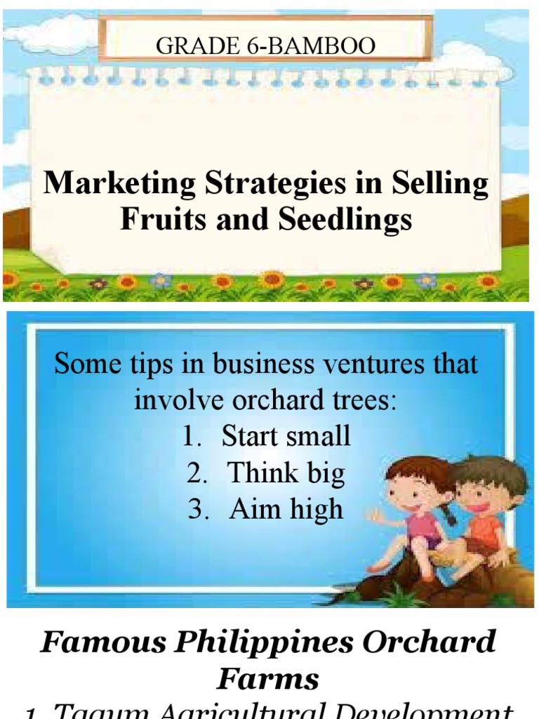 Marketing Strategies in Selling Fruits and Seedlings Tle 6 | PDF